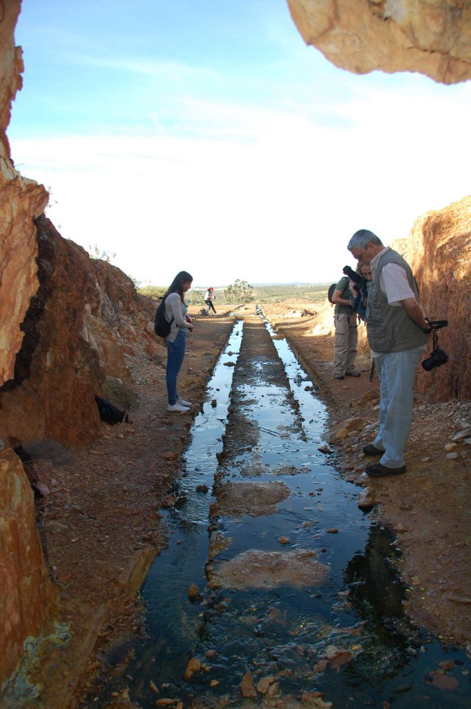 Fotografía Cayetana Cumbreras