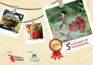 10460395_796044760451480_4408560011536195043_n