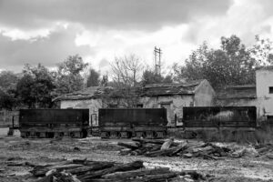 10448558_884488628273953_1511093703610359796_o