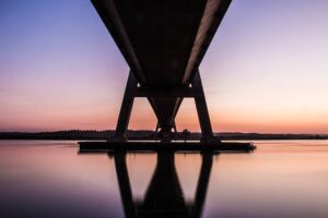 Carmen Torres Chaguaceda 2