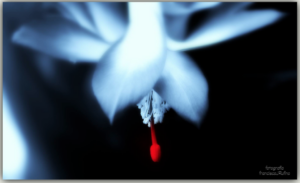 Captura de pantalla 2015-11-03 a la(s) 17.58.45