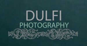 Dulfi logo